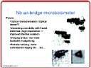 slide13.jpg