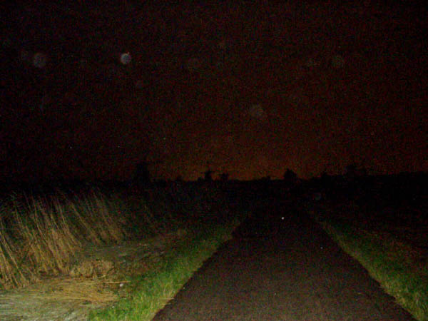 0726kinderdijk1
