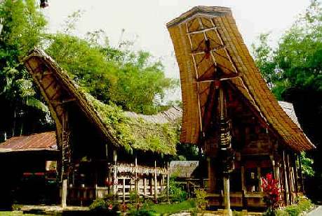 tongkonan