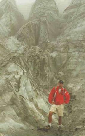 fox glacier