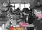 fika 3